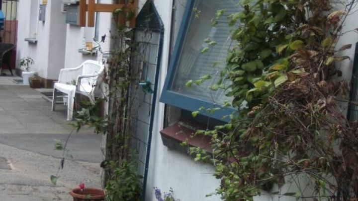 Blumen in T&ouml;pfen schm&uuml;cken die Hauswand, w&auml;hrend das Fenster offen steht und eine einladende Atmosph&auml;re schafft.