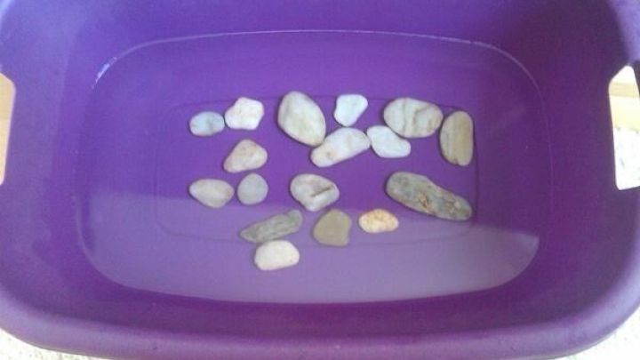 Steine ruhen in einem lila Becken mit Wasser, ideal f&uuml;r eine Steinmassage zur Behandlung von geschwollenen F&uuml;&szlig;en.