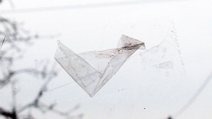 Ein transparenter Tesafilmstreifen haftet auf einer Glasscheibe, während der Hintergrund unscharf und winterlich wirkt.