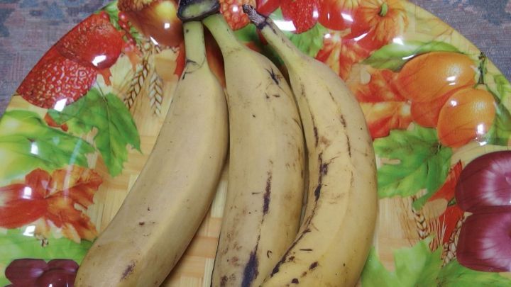 Drei Bananen liegen auf einem bunten Teller mit Obstmotiv, w&auml;hrend sie reif werden und bereit zum Einkaufen sind.