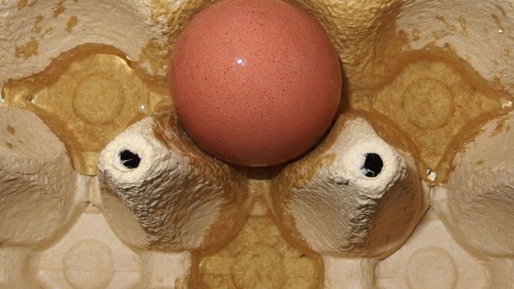 Ein braunes Ei sitzt auf einem Karton-Eiablage, umgeben von Flecken und einer matschigen Oberfl&auml;che, die festklebt.