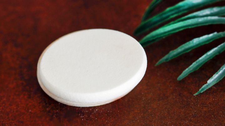 Ein Make-up-Schw&auml;mmchen liegt auf einer dunklen Oberfl&auml;che, umgeben von einer gr&uuml;nen Pflanze. Es sieht sauber und unbenutzt aus.