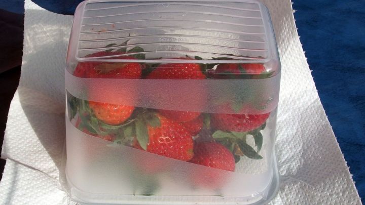 Ein Beh&auml;lter mit gefrorenen Erdbeeren liegt auf einem Zewa-Tuch, um sie frisch einzufrieren.