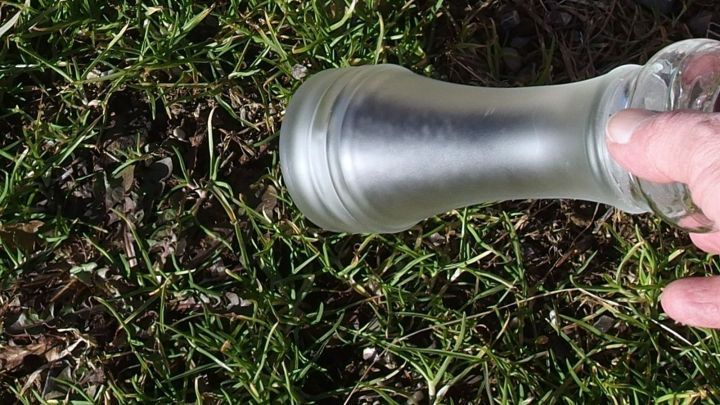 Eine Hand streut Pfeffer auf ein St&uuml;ck Gras im Vorgarten, um Hundeh&auml;ufchen vorzubeugen. Das Gras ist gr&uuml;n und frisch.