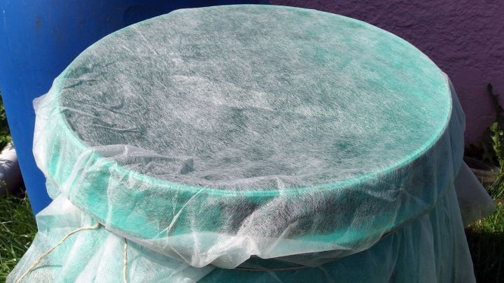 Ein mit Gartenvlies abgedeckter Regentonnendeckel sch&uuml;tzt gegen M&uuml;ckeneier in einem Gartenumfeld, im Hintergrund eine Wand.