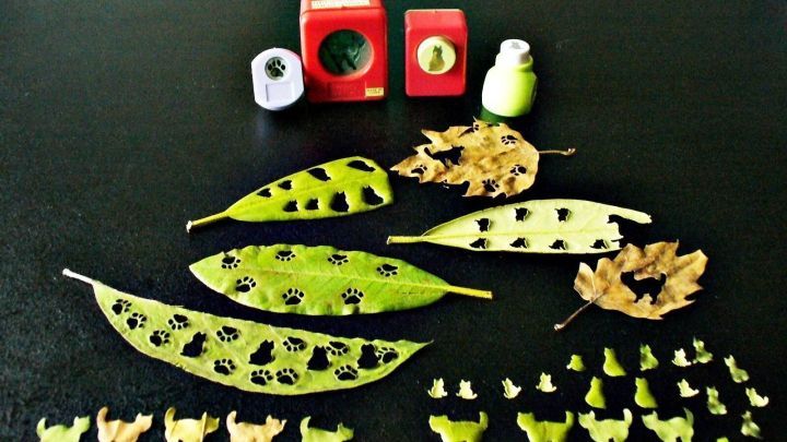 Herbstlaub liegt angeordnet auf einem Tisch, w&auml;hrend kreative Bastelmaterialien und kleine Tierfiguren pr&auml;sent sind.