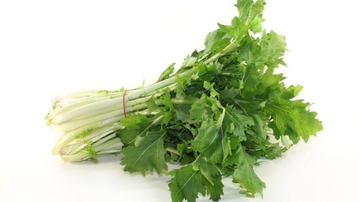 Ein Bund Stielmus liegt auf hellem Untergrund. Es ist frisch, mit gr&uuml;nen Bl&auml;ttern und wei&szlig;en Stielen, die zusammengebunden sind.