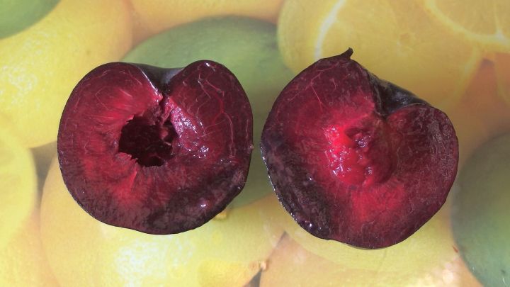 Halbe Pflaumen liegen darauf, wobei der Kern leicht zu erkennen ist. Im Hintergrund sind gelbe Fr&uuml;chte sichtbar.