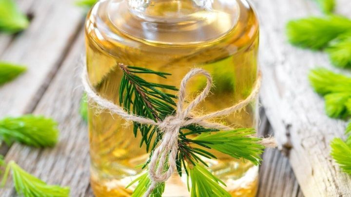 Ein Glasbeh&auml;lter mit Fichten-Honig steht auf der Holzoberfl&auml;che, umgeben von frischen Fichtennadeln.