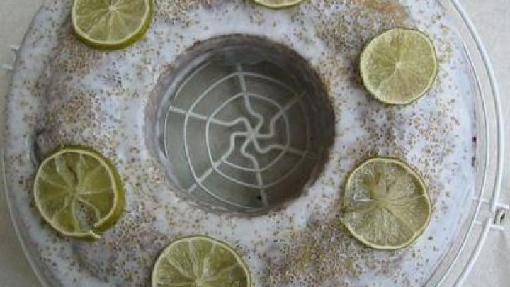 Ein runder Kuchen mit Zuckerguss, belegt mit Limettenscheiben, steht auf einem Metallgitter auf hellem Untergrund.