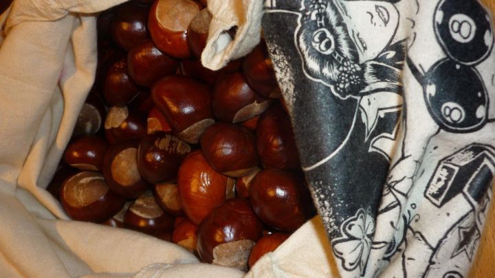 Braune Kastanien liegen in einem Stoffbeutel, w&auml;hrend ein farbiger Stoffrest &uuml;ber den Rand h&auml;ngt.