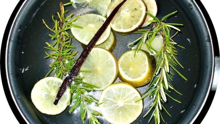 Mit Zitronenscheiben, Rosmarin und Vanille kannst Du dir ganz einfach einen nat&uuml;rlichen Raumduft ohne k&uuml;nstliche Zus&auml;tze selber machen.