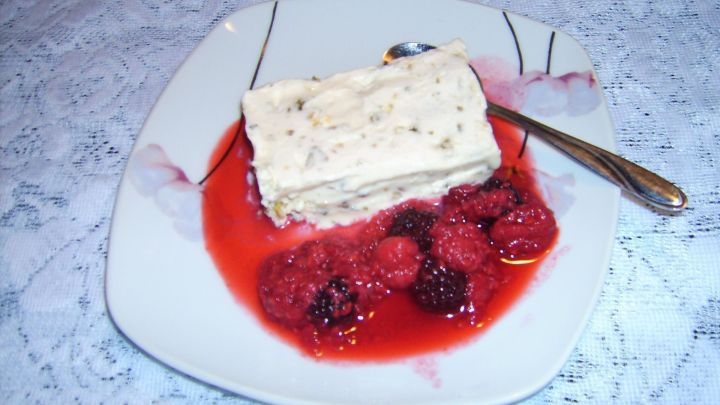 Ein cremiges K&uuml;rbiskernparfait auf einem Teller, umgeben von frischen Himbeeren und einer fruchtigen Sauce.