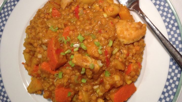 Eine bunte Sch&uuml;ssel mit K&uuml;rbiseintopf enth&auml;lt rote Linsen, &Auml;pfel und Putenfleisch, angerichtet auf einem Teller.