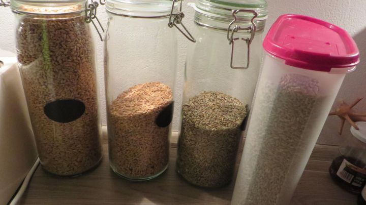 Vier Vorratsgl&auml;ser mit verschiedenen Getreidesorten stehen auf einer Arbeitsfl&auml;che, bereit zum Teilen und Sparen.