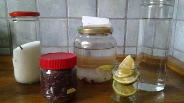 Ein Glas mit klarem Wasser steht neben einem gro&szlig;en Glas mit Wasserkefir und frischen Zitroneh&auml;lften auf einem Holzbrett.