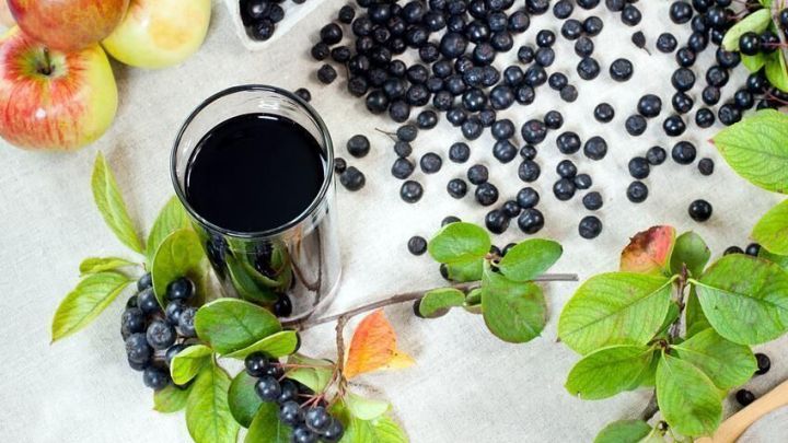 Ein Glas dunkelroter Aroniasaft steht auf einem Tuch, umgeben von frischen Aroniabeeren, &Auml;pfeln und gr&uuml;nen Bl&auml;ttern.
