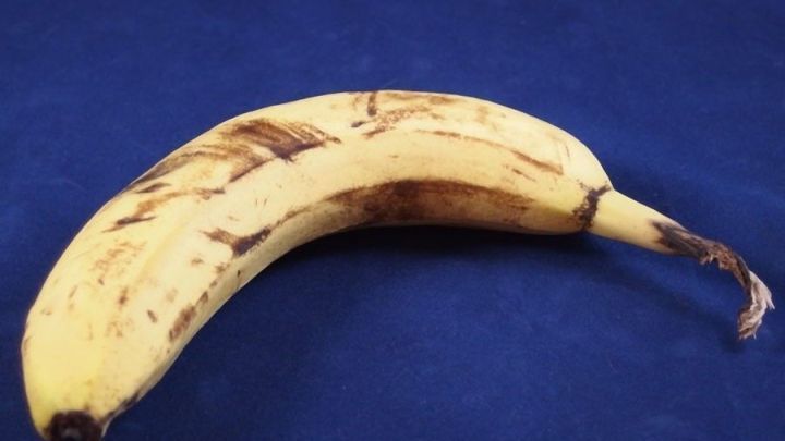 Eine sehr reife Banane liegt auf einem blauen Hintergrund und ist bereit zur Verarbeitung f&uuml;r Hundekekse.