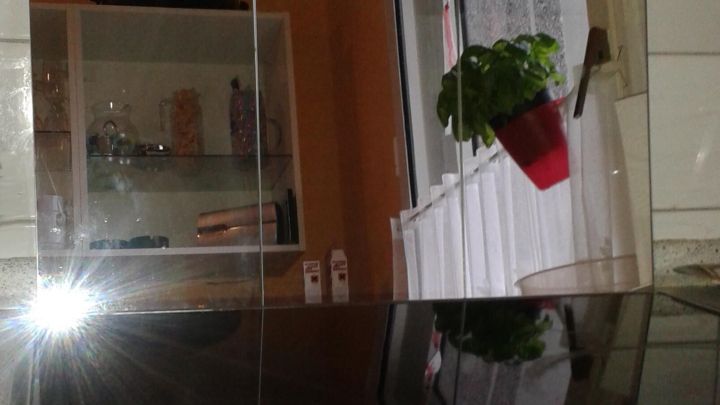 Ein gl&auml;nzender Spritzschutz steht vor einem Glaskeramikfeld und reflektiert eine Pflanze sowie den K&uuml;chenhintergrund.