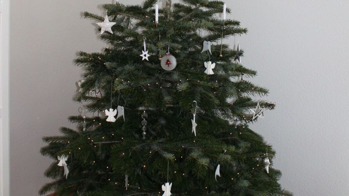 Ein Weihnachtsbaum steht festlich geschm&uuml;ckt, umgeben von bunten Geschenken, die Verpackungsm&uuml;ll vermeiden sollen.