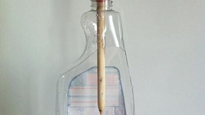 Ein Pinselhalter aus einer Flasche, die rot gef&auml;rbt ist, steht auf einem Tisch und erleichtert das Malen.