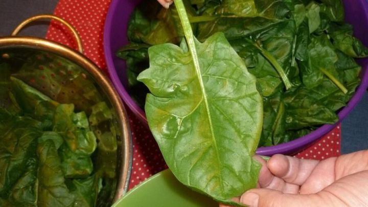 Mit diesem Trick entfernst du ganz einfach die Stiele vom Blattspinat und sparst Zeit beim Zubereiten &ndash; hier siehst du, wie es geht.
