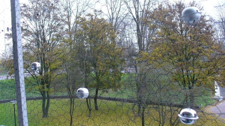 Ein Katzenschutznetz auf einem Balkon sch&uuml;tzt vor einem Sturz, umgeben von B&auml;umen im Hintergrund und grauem Himmel.