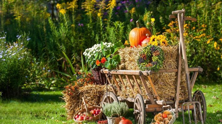 Ein Holzwagen voller Strohballen zeigt K&uuml;rbisse, Blumen und Gem&uuml;se in einem herbstlichen Garten mit bl&uuml;henden Pflanzen im Hintergrund.