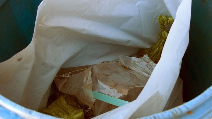 Ein M&uuml;llcontainer mit offenen Abf&auml;llen, umgeben von frischer Luft, zieht Maden im Sommer an.