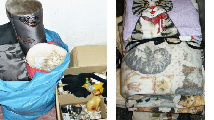 Spenden wie Decken und Spielzeug sind in blauen S&auml;cken und Kisten f&uuml;r eine Tierhilfsorganisation zusammengestellt.