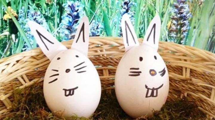 Zwei bemalte Ostereier mit Hasengesichtern sitzen in einem Nest aus Gras, umgeben von einer bunten Blumenwiese.