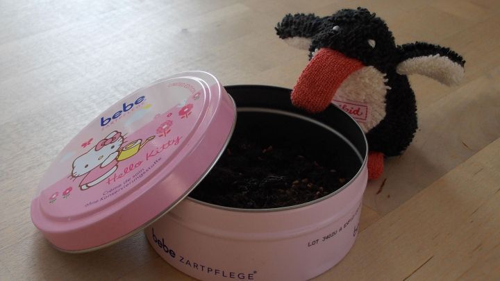 Der Kressebeet in der Dose wird von einem kleinen, schwarzen und wei&szlig;en Stofftier betrachtet, w&auml;hrend der Deckel offen ist.