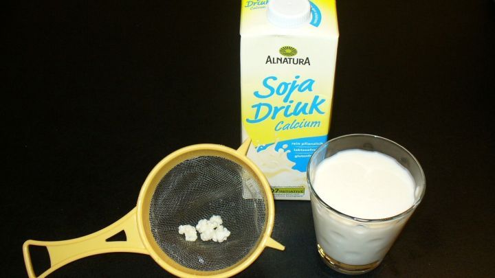 Laktosefreien Kefir herstellen: Mit Sojamilch | Frag Mutti