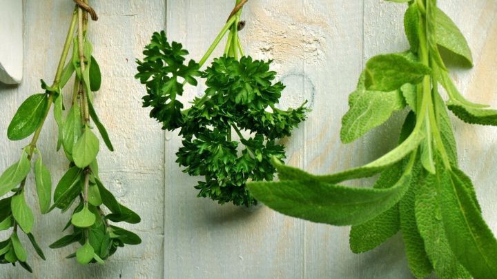 Frische Kr&auml;uter h&auml;ngen an einer Wand, w&auml;hrend sie zum Trocknen aufgeh&auml;ngt sind und die nat&uuml;rliche Umgebung betont wird.