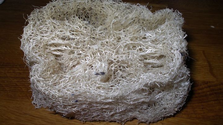 Eine Luffagurke, texturiert und beige, liegt auf einem Holztisch und k&ouml;nnte zur K&ouml;rperpflege genutzt werden.