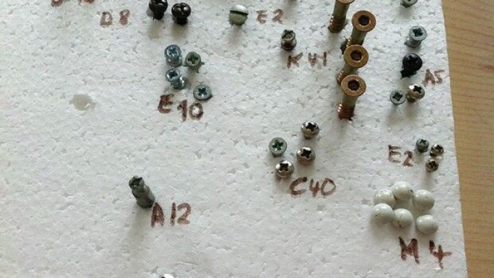 Eine Vielzahl von Schrauben und N&auml;geln ist ordentlich auf einer wei&szlig;en Platte angeordnet, um &uuml;bersichtlich aufbewahrt zu werden.