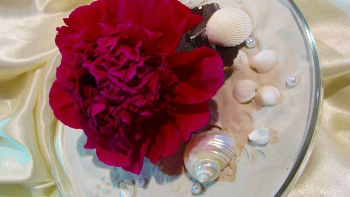 Ein roter Bl&uuml;tenkopf liegt auf einem Glasuntersetzer, umgeben von Muscheln und wei&szlig;en Perlen, in einem dekorativen Arrangement.