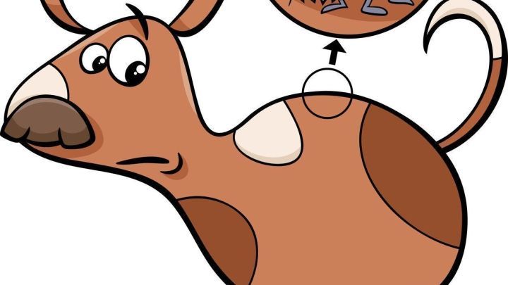 Ein Hund steht besorgt da, w&auml;hrend ein Floh in einer Sprechblase &uuml;ber seinem R&uuml;cken dargestellt ist.