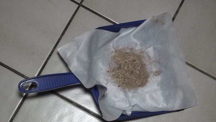 Eine Kehrschaufel liegt auf einem Fliesenboden, w&auml;hrend feines Bohren darauf abgelegt ist, bereit zum Aufkehren.