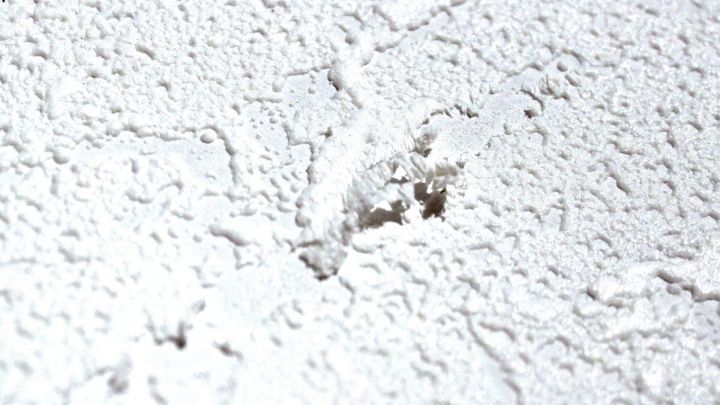 Kleine Kratzer sind auf der wei&szlig;en Rauhfasertapete sichtbar, die die Wandstruktur besch&auml;digen.