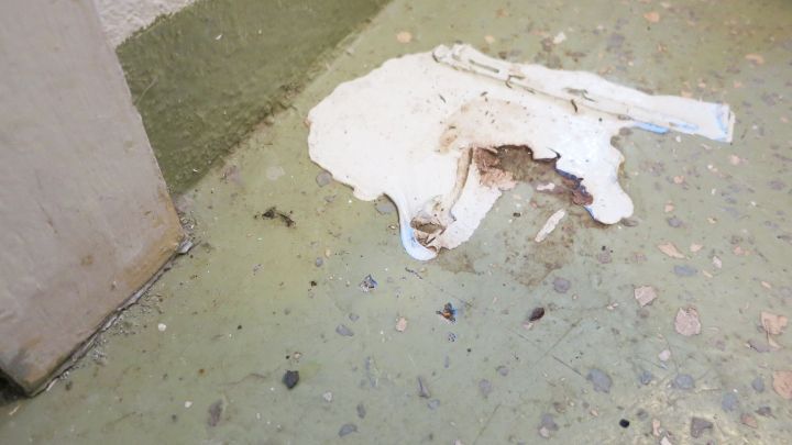 Auf dem Boden liegt ein St&uuml;ck besch&auml;digter Unterlage, das den (Parkett-)Fu&szlig;boden beim Bauen mit Kunstrasen beeinflussen k&ouml;nnte.