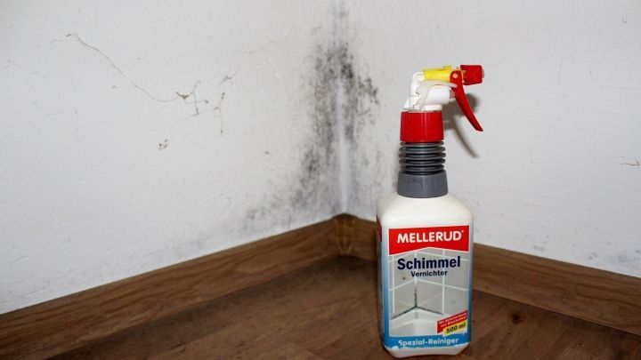 Eine Flasche Schimmelspray steht neben einer von Schimmelbefall betroffenen Raumwand in einem Innenraum.