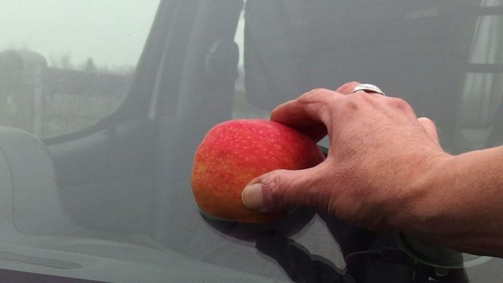 Eine Hand reibt einen Apfel &uuml;ber eine beschlagene Autoscheibe, um die Sicht zu verbessern.