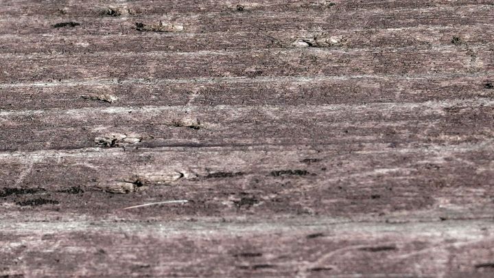 Dunkles Holz zeigt Druckstellen und Spuren, wobei die Oberfl&auml;che unregelm&auml;&szlig;ig und abgenutzt aussieht.