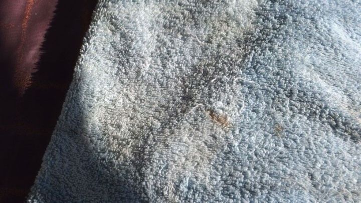 Ein Handtuch mit Karottenflecken liegt im Sonnenlicht, wobei der Fleck deutlich sichtbar ist und die Textur hervorgehoben wird.