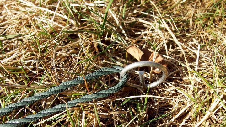 Fleischspie&szlig;e liegen in einer Wiese, w&auml;hrend eine Zeltleine mit einem Ring in den Boden befestigt wird.