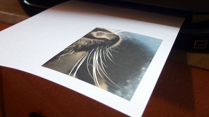 Ein Drucker gibt ein Bild mit feiner Druckqualit&auml;t aus, w&auml;hrend es auf einem Tisch in einem B&uuml;ro platziert ist.