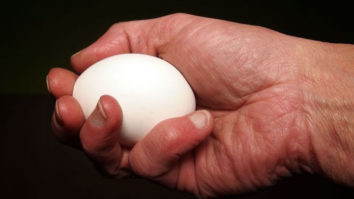 Eine Hand h&auml;lt ein gekochtes Ei fest, umgeben von dunklem Hintergrund, symbolisch f&uuml;r die Betrachtung bei Sehnenscheidenentz&uuml;ndung.