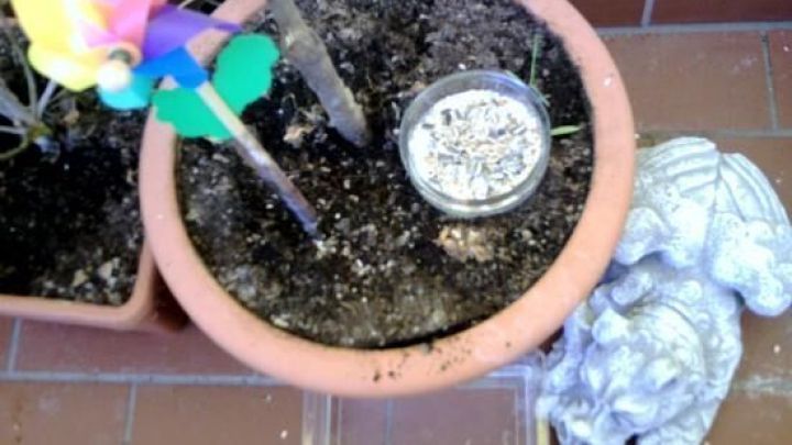 Ein Blumentopf mit Erde enth&auml;lt eine Schale Vogelfutter und ein buntes Windrad, auf einem Balkon neben einer Steinfigur.