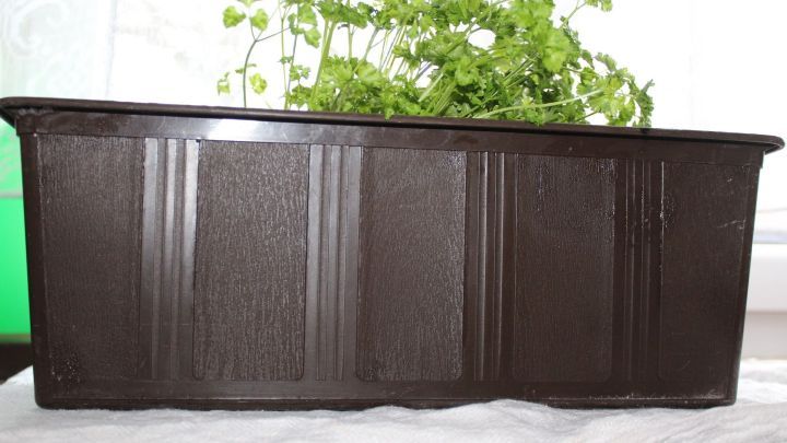 Ein schwarzer Blumenkasten mit gr&uuml;nen Kr&auml;utern steht auf einem Tisch vor einem wei&szlig;en Hintergrund.